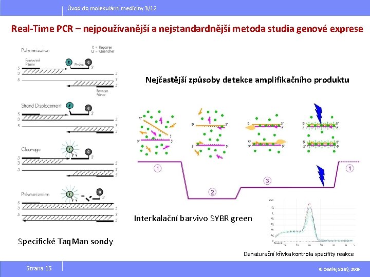 Úvod do molekulární medicíny 3/12 Real-Time PCR – nejpoužívanější a nejstandardnější metoda studia genové