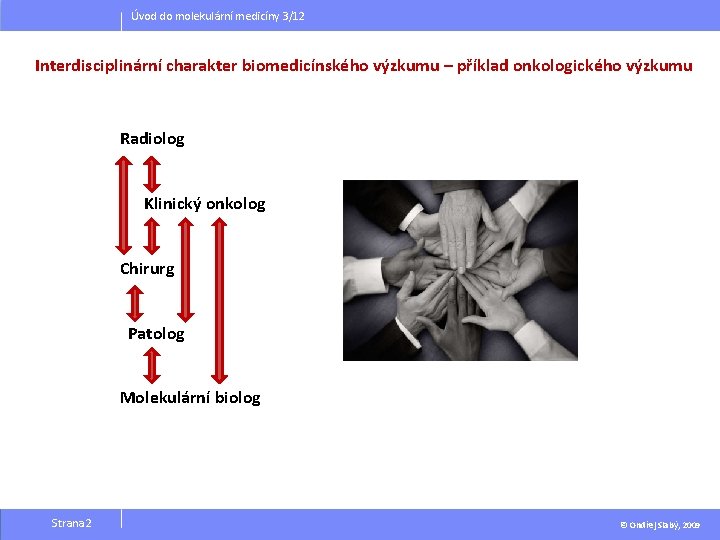Úvod do molekulární medicíny 3/12 Interdisciplinární charakter biomedicínského výzkumu – příklad onkologického výzkumu Radiolog