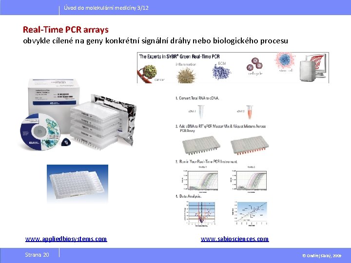 Úvod do molekulární medicíny 3/12 Real-Time PCR arrays obvykle cílené na geny konkrétní signální