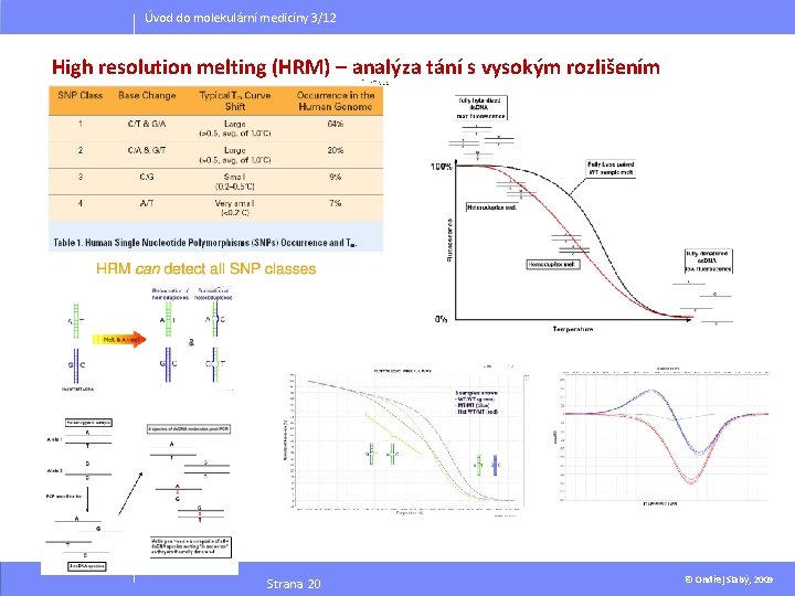 Úvod do molekulární medicíny 3/12 High resolution melting (HRM) – analýza tání s vysokým