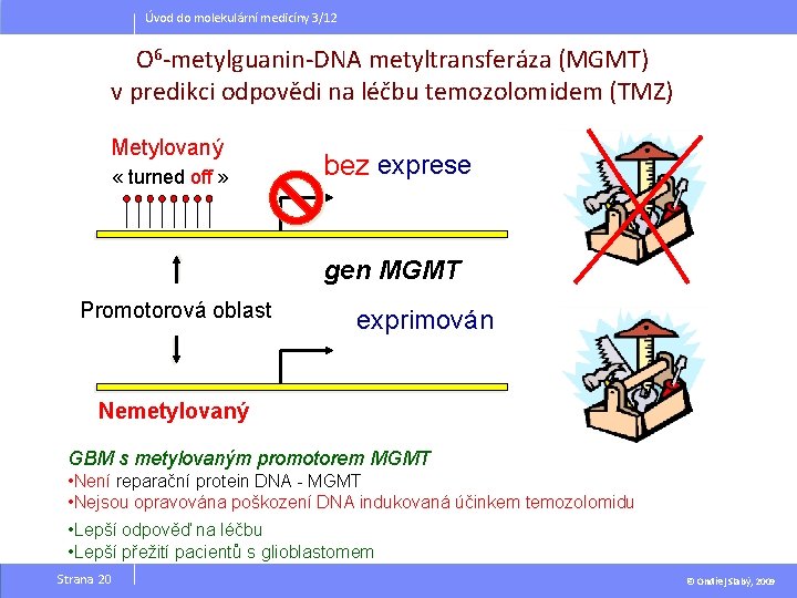 Úvod do molekulární medicíny 3/12 O 6 -metylguanin-DNA metyltransferáza (MGMT) v predikci odpovědi na