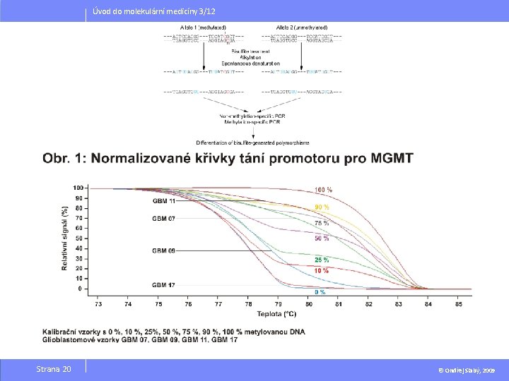 Úvod do molekulární medicíny 3/12 Strana 20 © Ondřej Slabý, 2009 