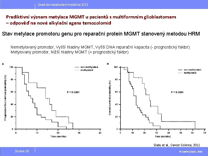 Úvod do molekulární medicíny 3/12 Prediktivní význam metylace MGMT u pacientů s multiformním glioblastomem