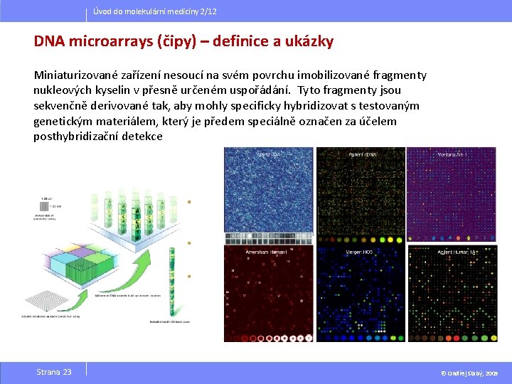 Úvod do molekulární medicíny 2/12 DNA microarrays (čipy) – definice a ukázky Miniaturizované zařízení