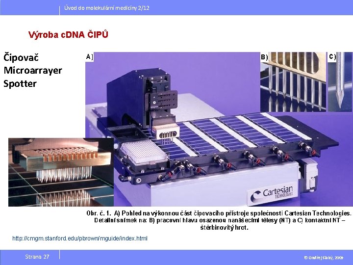 Úvod do molekulární medicíny 2/12 Výroba c. DNA ČIPŮ Čipovač Microarrayer Spotter http: //cmgm.