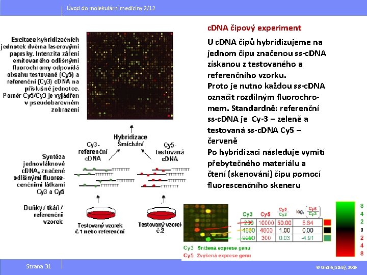 Úvod do molekulární medicíny 2/12 c. DNA čipový experiment U c. DNA čipů hybridizujeme