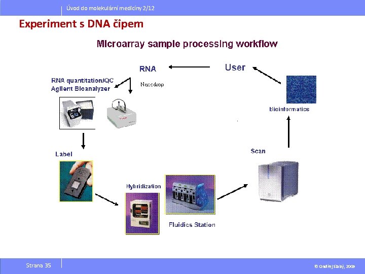 Úvod do molekulární medicíny 2/12 Experiment s DNA čipem Strana 35 © Ondřej Slabý,