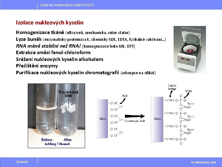 Úvod do molekulární medicíny 3/12 Izolace nukleových kyselin Homogenizace tkáně (ultrazvuk, mechanicka, rotor-stator) Lyze