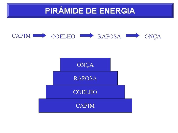PIR MIDE DE ENERGIA CAPIM COELHO RAPOSA ONÇA RAPOSA COELHO CAPIM ONÇA 