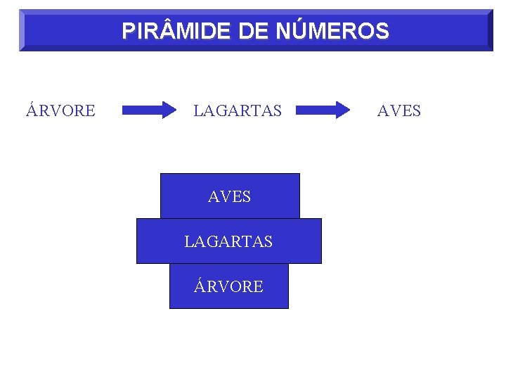 PIR MIDE DE NÚMEROS ÁRVORE LAGARTAS AVES LAGARTAS ÁRVORE AVES 