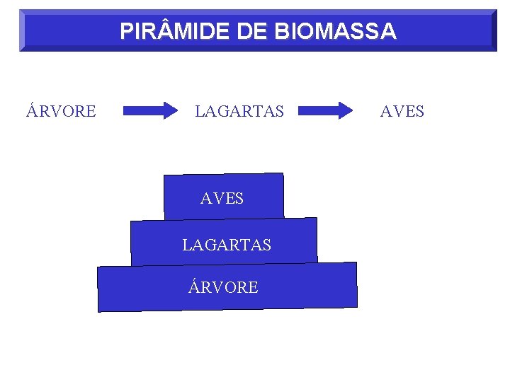 PIR MIDE DE BIOMASSA ÁRVORE LAGARTAS AVES LAGARTAS ÁRVORE AVES 