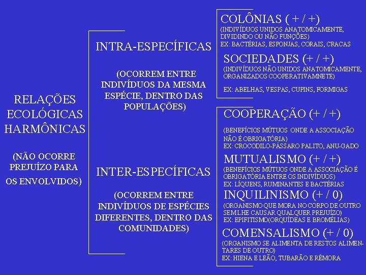 COLÔNIAS ( + / +) INTRA-ESPECÍFICAS RELAÇÕES ECOLÓGICAS HARMÔNICAS (NÃO OCORRE PREJUÍZO PARA OS
