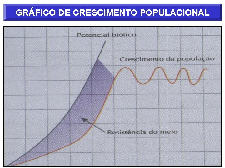 GRÁFICO DE CRESCIMENTO POPULACIONAL 