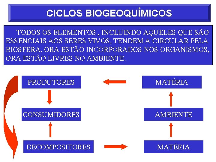 CICLOS BIOGEOQUÍMICOS TODOS OS ELEMENTOS , INCLUINDO AQUELES QUE SÃO ESSENCIAIS AOS SERES VIVOS,