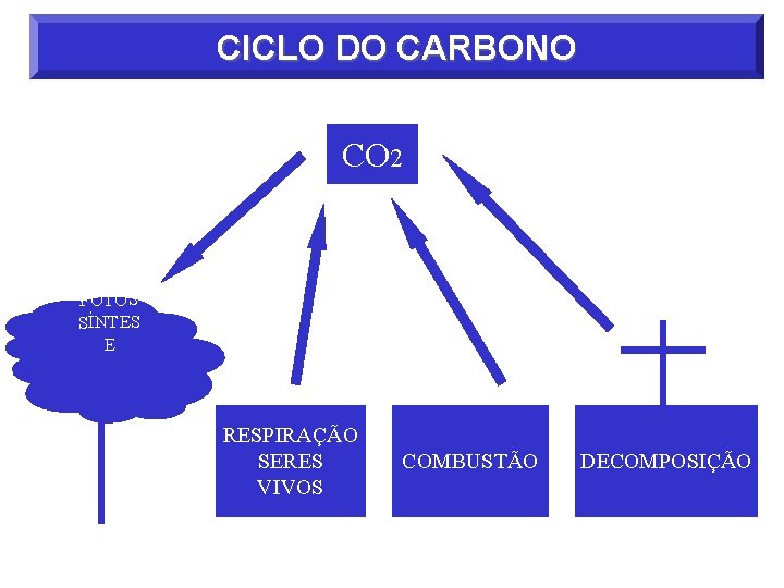 CICLO DO CARBONO CO 2 FOTOS SÍNTES E RESPIRAÇÃO SERES VIVOS COMBUSTÃO DECOMPOSIÇÃO 