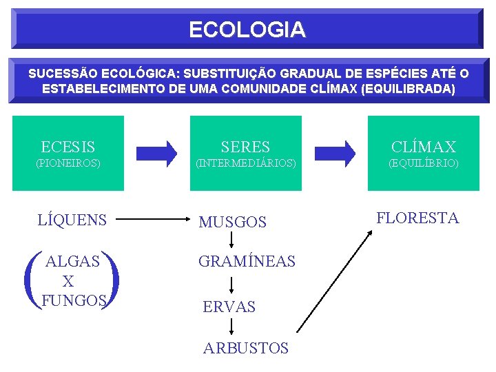 ECOLOGIA SUCESSÃO ECOLÓGICA: SUBSTITUIÇÃO GRADUAL DE ESPÉCIES ATÉ O ESTABELECIMENTO DE UMA COMUNIDADE CLÍMAX