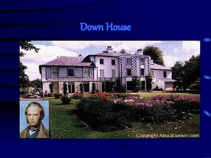 Down House 