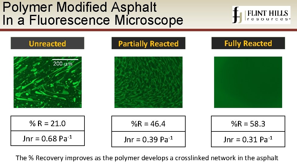 Polymer Modified Asphalt In a Fluorescence Microscope Partially Reacted Fully Reacted % R =