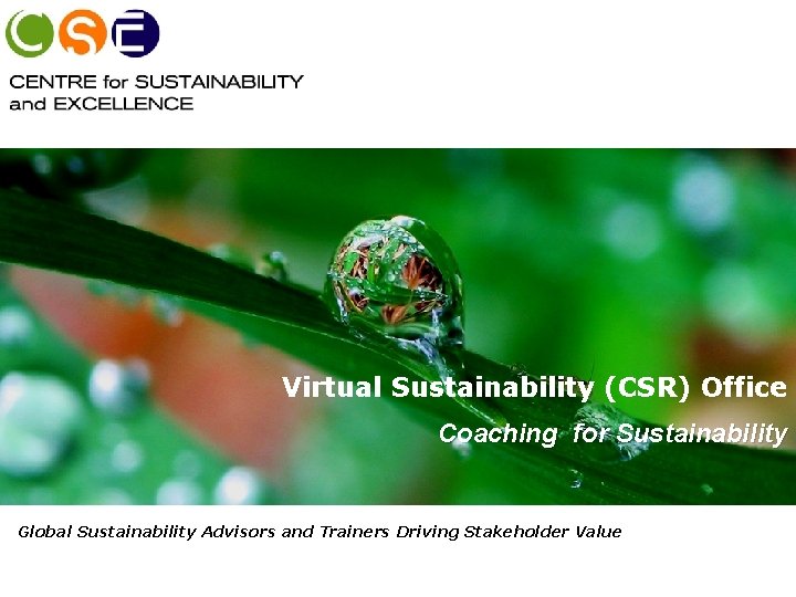 Virtual Sustainability (CSR) Office Coaching for Sustainability Global Sustainability Advisors and Trainers Driving Stakeholder