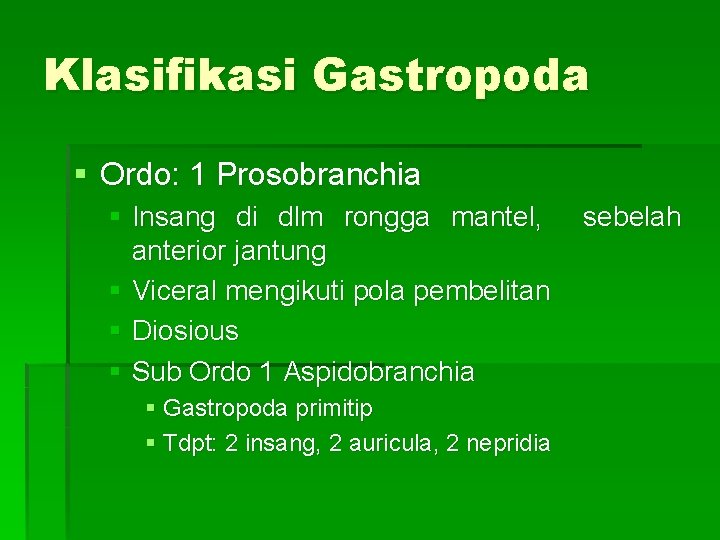Klasifikasi Gastropoda § Ordo: 1 Prosobranchia § Insang di dlm rongga mantel, anterior jantung