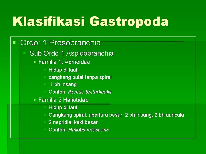 Klasifikasi Gastropoda § Ordo: 1 Prosobranchia § Sub Ordo 1 Aspidobranchia § Familia 1.