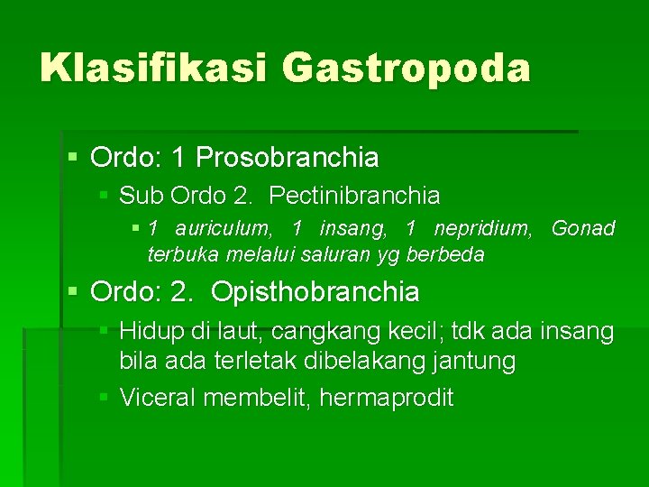 Klasifikasi Gastropoda § Ordo: 1 Prosobranchia § Sub Ordo 2. Pectinibranchia § 1 auriculum,