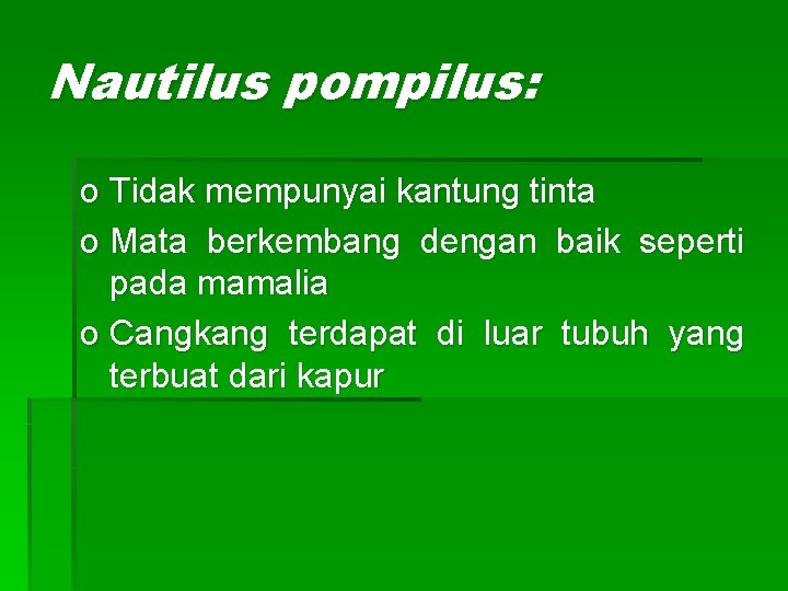 Nautilus pompilus: o Tidak mempunyai kantung tinta o Mata berkembang dengan baik seperti pada