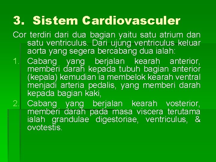 3. Sistem Cardiovasculer Cor terdiri dari dua bagian yaitu satu atrium dan satu ventriculus.