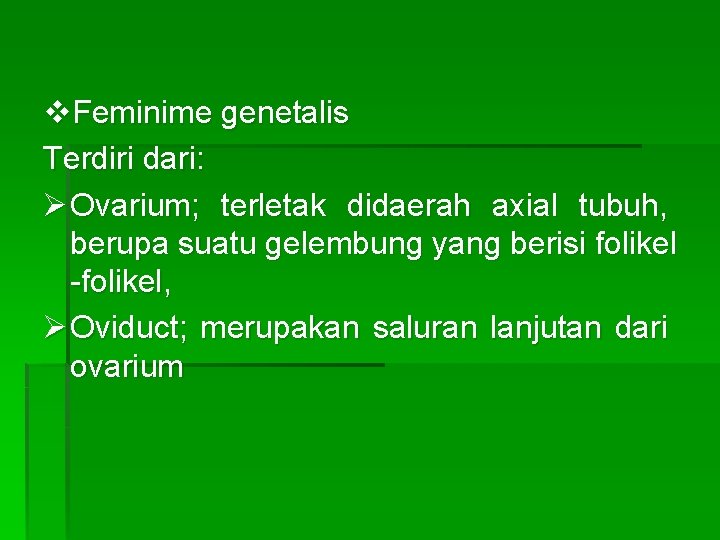 v. Feminime genetalis Terdiri dari: Ø Ovarium; terletak didaerah axial tubuh, berupa suatu gelembung