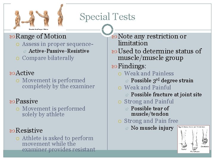 Special Tests Range of Motion Assess in proper sequence Active-Passive-Resistive Compare bilaterally Active Movement