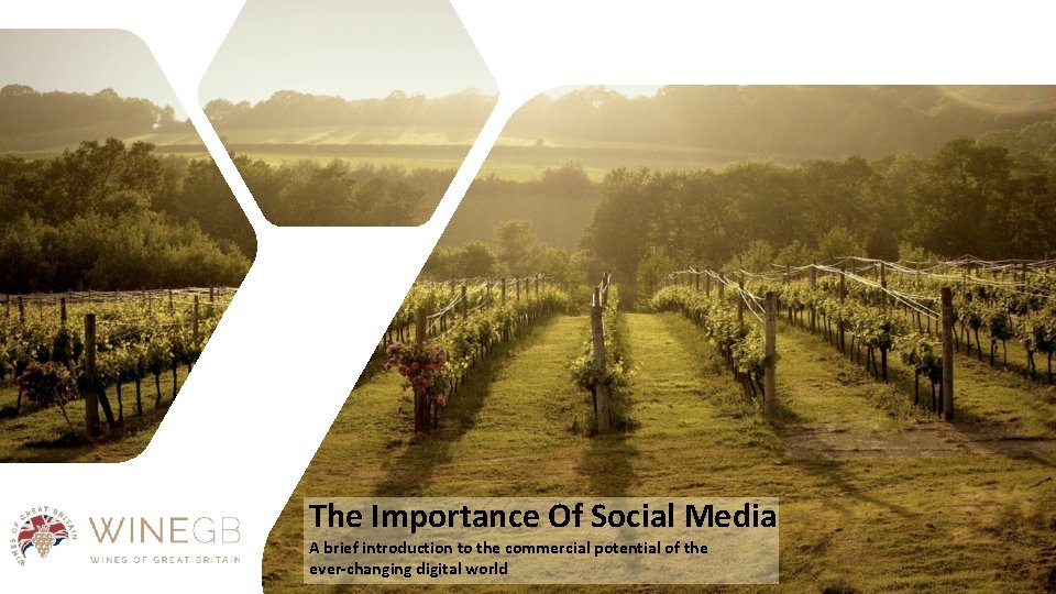 The Importance Of Social Media A brief introduction to the commercial potential of the