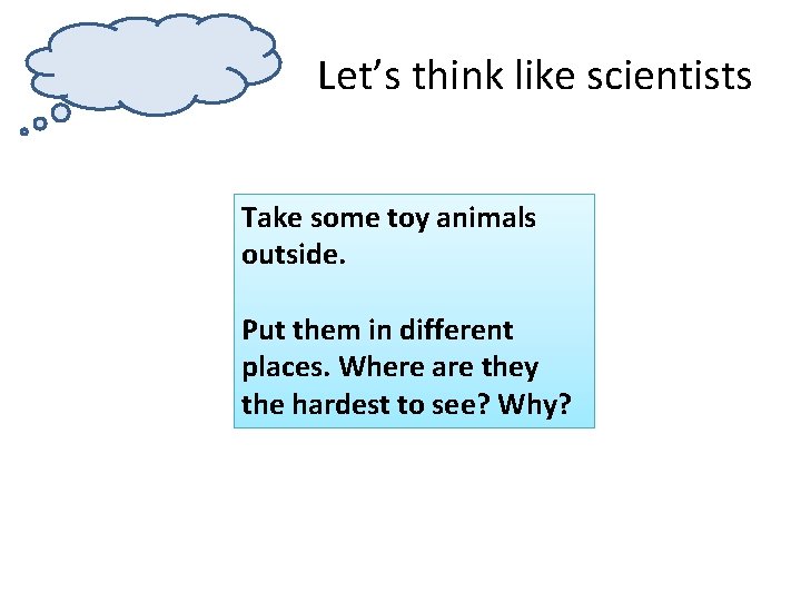 Let’s think like scientists Take some toy animals outside. Put them in different places.