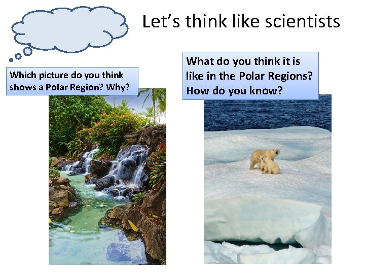 Let’s think like scientists Which picture do you think shows a Polar Region? Why?