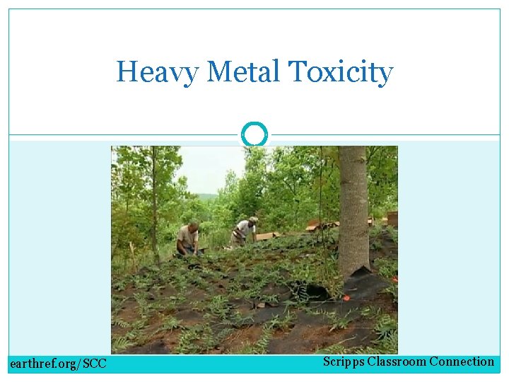 Heavy Metal Toxicity earthref. org/SCC Scripps Classroom Connection 
