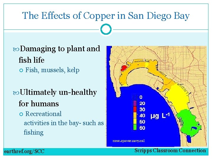 The Effects of Copper in San Diego Bay Damaging to plant and fish life