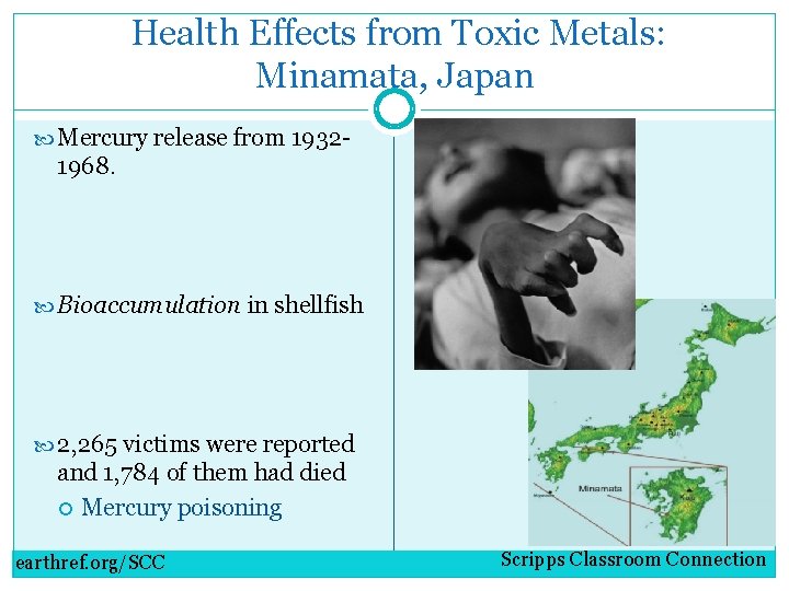 Health Effects from Toxic Metals: Minamata, Japan Mercury release from 1932 - 1968. Bioaccumulation