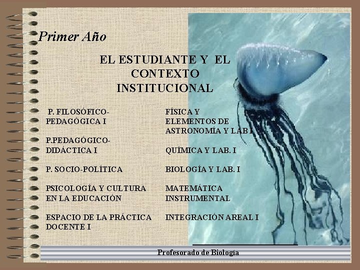 Primer Año EL ESTUDIANTE Y EL CONTEXTO INSTITUCIONAL P. FILOSÓFICOPEDAGÓGICA I P. PEDAGÓGICODIDÁCTICA I