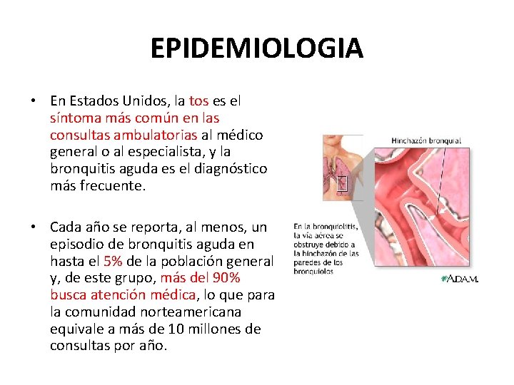 EPIDEMIOLOGIA • En Estados Unidos, la tos es el síntoma más común en las