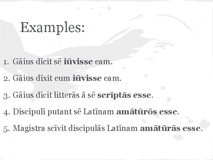 Examples: 1. Gāius dīcit sē iūvisse eam. 2. Gāius dīxit eum iūvisse eam. 3.