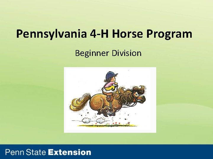 Pennsylvania 4 -H Horse Program Beginner Division 