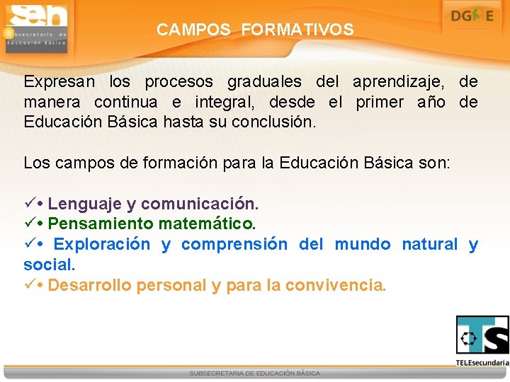 CAMPOS FORMATIVOS Expresan los procesos graduales del aprendizaje, de manera continua e integral, desde