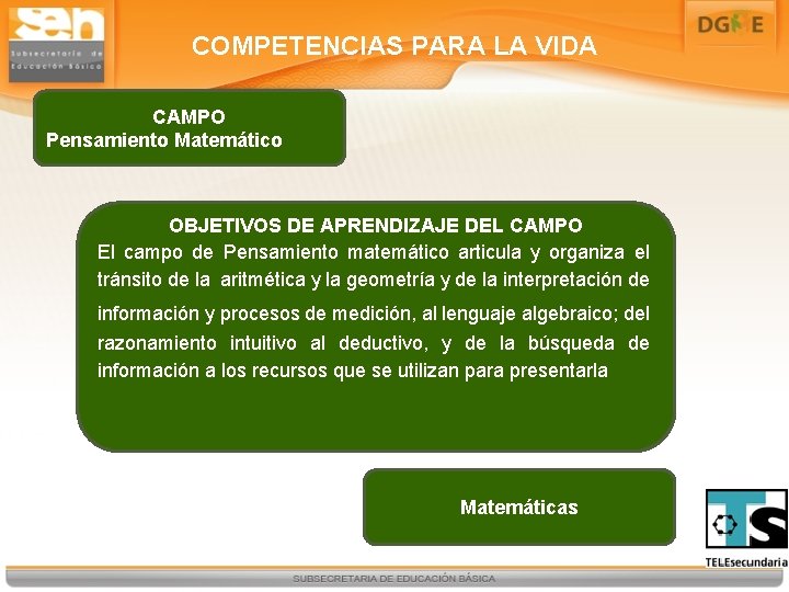COMPETENCIAS PARA LA VIDA CAMPO Pensamiento Matemático OBJETIVOS DE APRENDIZAJE DEL CAMPO El campo