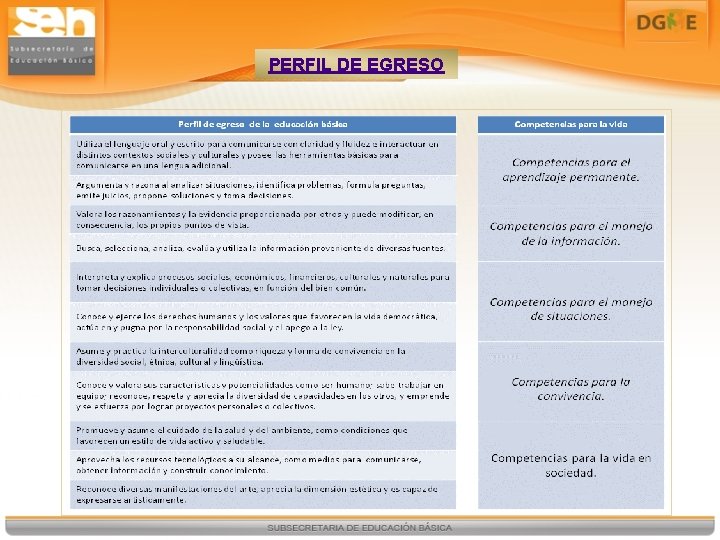 PERFIL DE EGRESO 