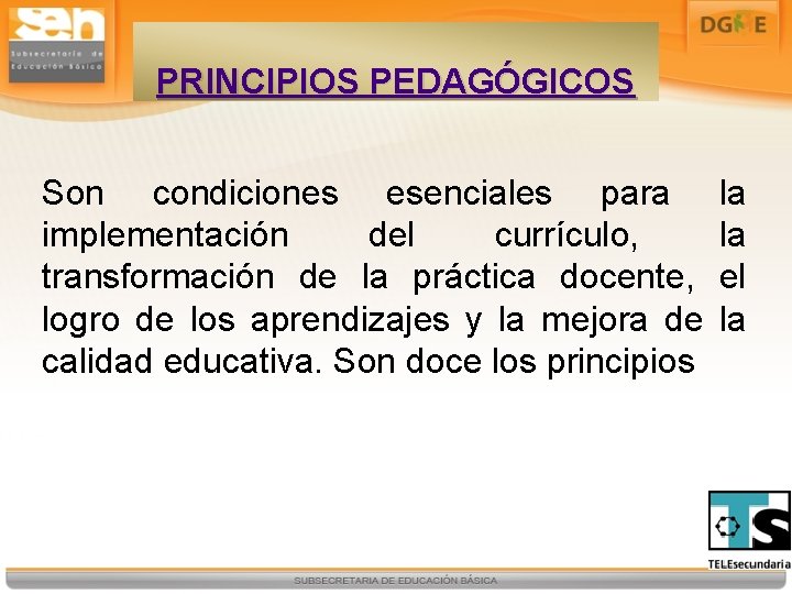 PRINCIPIOS PEDAGÓGICOS Son condiciones esenciales para implementación del currículo, transformación de la práctica docente,
