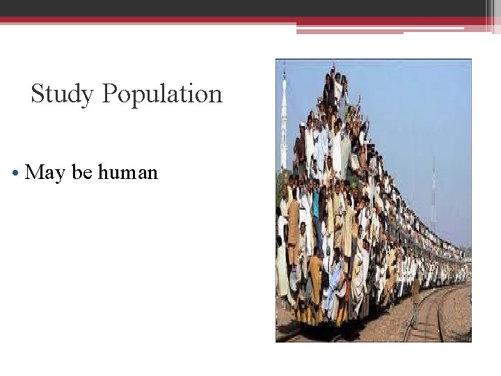 Study Population • May be human 