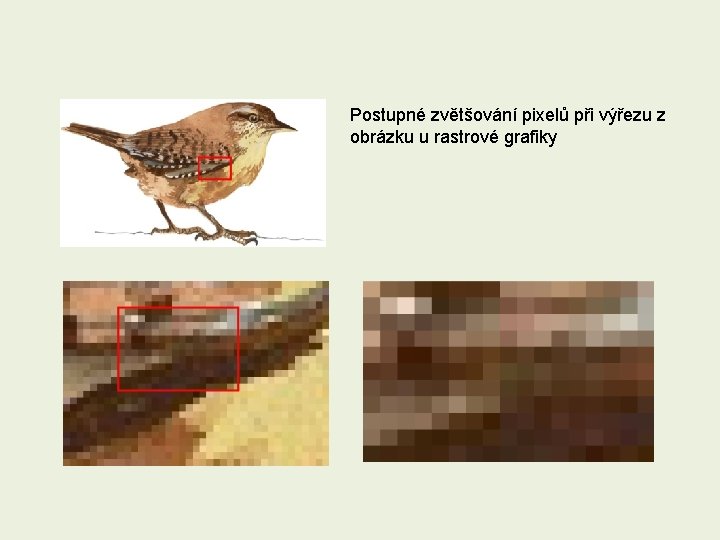 Postupné zvětšování pixelů při výřezu z obrázku u rastrové grafiky 