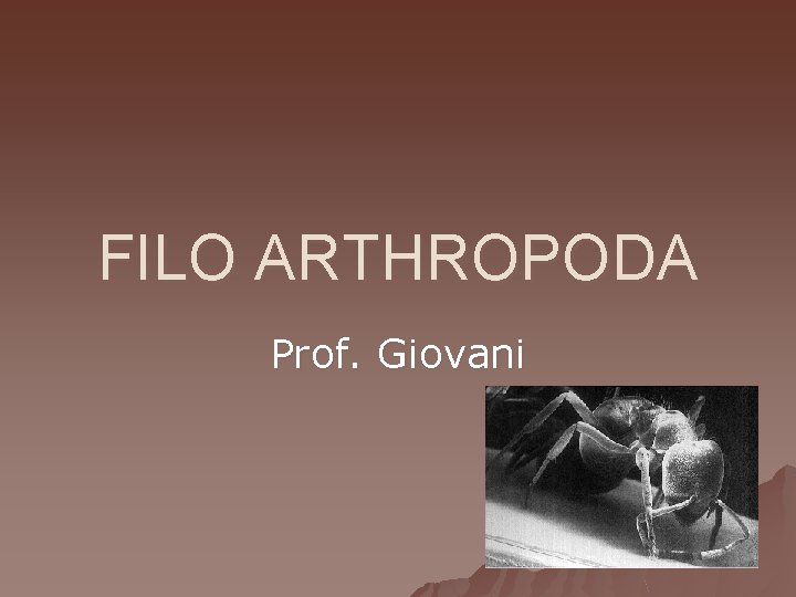 FILO ARTHROPODA Prof. Giovani 