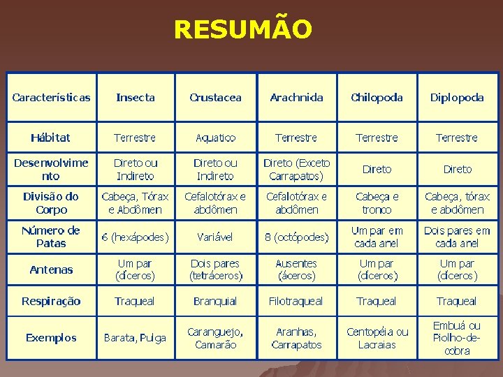 RESUMÃO 