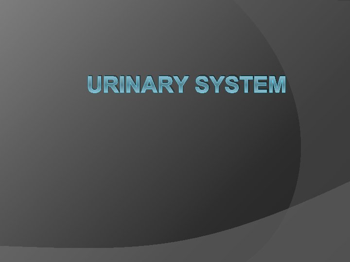 URINARY SYSTEM 