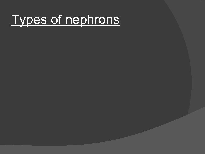 Types of nephrons 